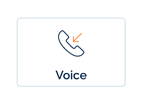 Voice