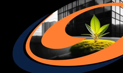 website-thumbnail-2
