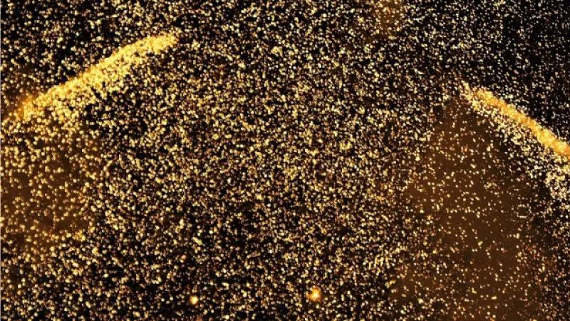 firstsource-solutions-and-now-tv-win-gold-at-the-uk-customer-experience-awards-a