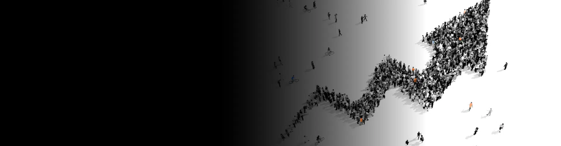 05_maximise-revenues-by-using-analytics-2