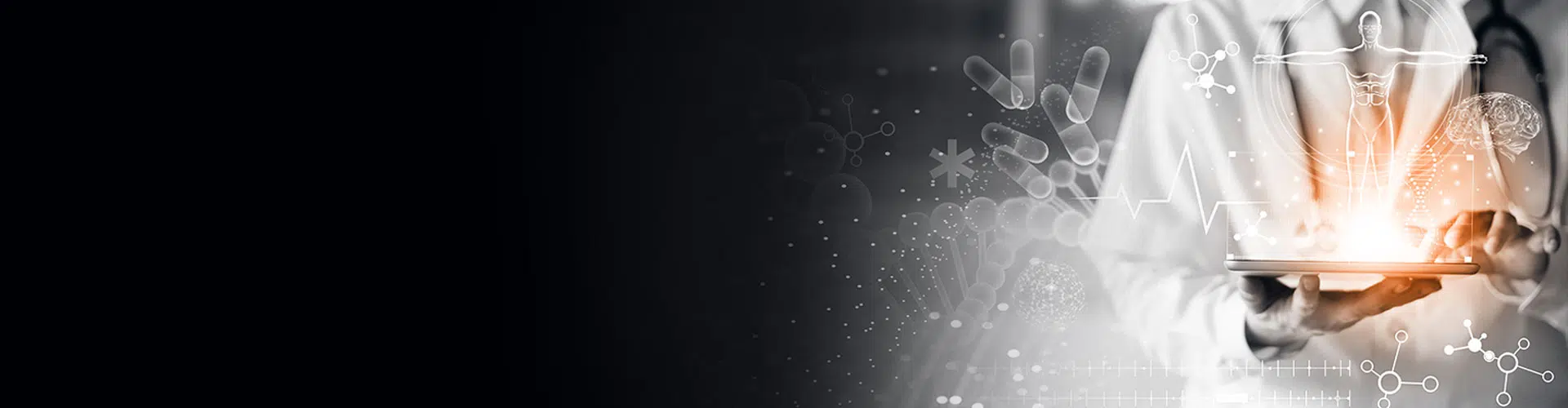 firstsource-everest-peak-website-banner