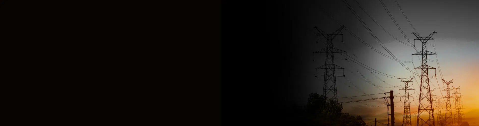 banner_1