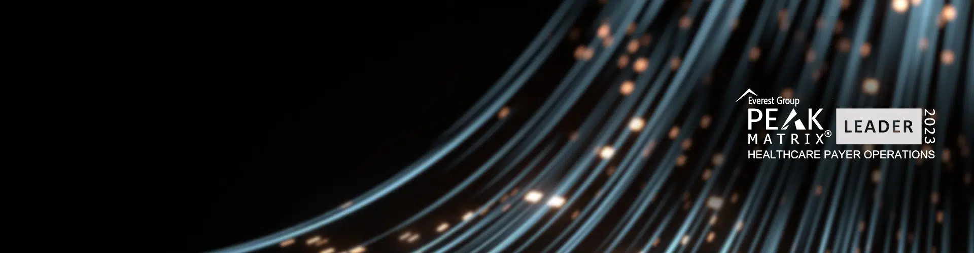 peak-matrix-assessment-2023-pr-banner-image